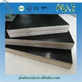  plastic plywood, plastic film faced plywood, plastic shuttering plywood  4