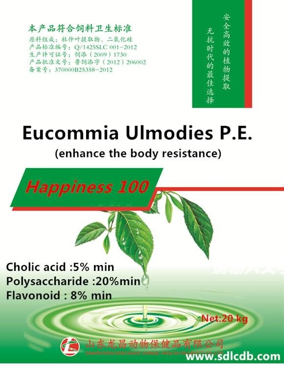 eucommia ulmodies--happiness 100