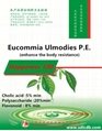 eucommia ulmodies--happiness 100