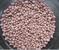 FERTILIZER & UREA 3