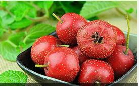 high quality hot new products for 2015 hawthorn fruit extract 3