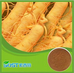 Alibaba China supply Ginseng root extract