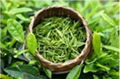 wholesale bio green tea extract Tea polyphenols supply by sost