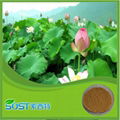 China supplier herb extract folium