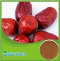 Factory supply high quality jujube extract for sale 2