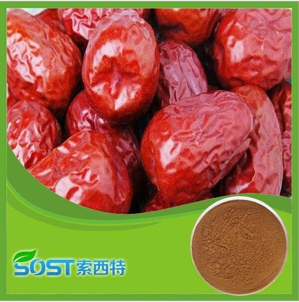Factory supply high quality jujube extract for sale 3