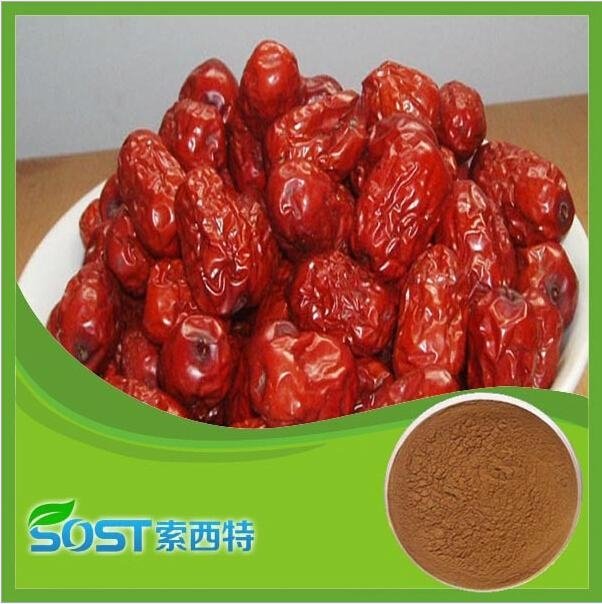 Factory supply high quality jujube extract for sale 5