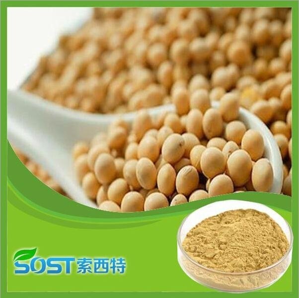 Herb extract natural soy isoflavones powder,soy isoflavone extract powder 40%  3