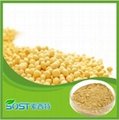 Herb extract natural soy isoflavones powder,soy isoflavone extract powder 40%  2