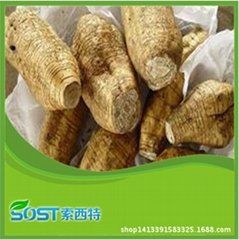 wholesale best price Kudzu Root Extract supply by sost