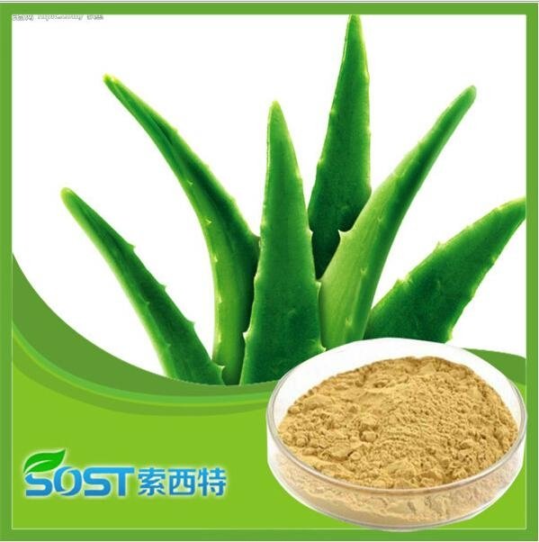 manufacturer supply competitive price Aloe vera Powder