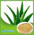 manufacturer supply competitive price Aloe vera Powder 1
