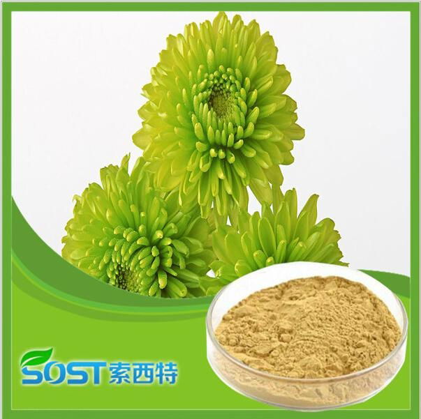 manufacturer supply competitive price Aloe vera Powder 3