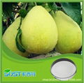 Best selling and factory supply lemon peel extract with free sample 3