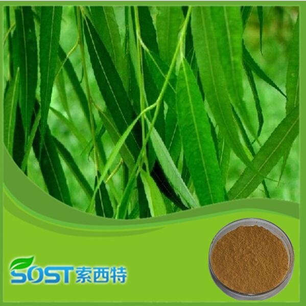 White Willow Bark Extract Salicin HPLC 10% 3