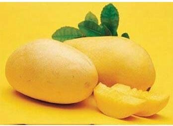 china pure natural african mango extract 3