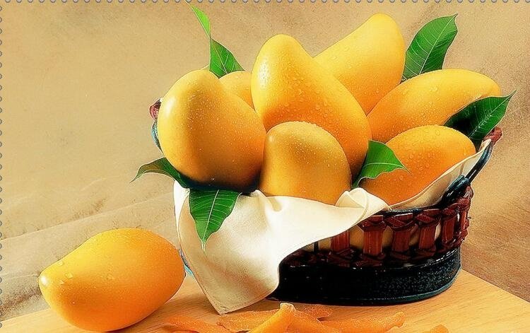 china pure natural african mango extract 4