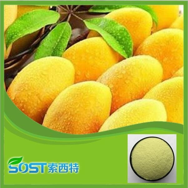 china pure natural african mango extract 2