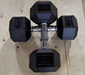 rubber dumbbell/black rubber coated dubbell/gym use rubber dumbbell 1