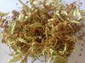 Fennel seeds