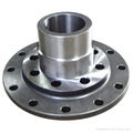 Flange 1