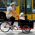electric cargo bicycle cargo bikes three wheel 