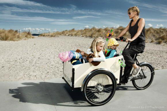 CE best price  cargo bikes Denmark electric hot sale 5