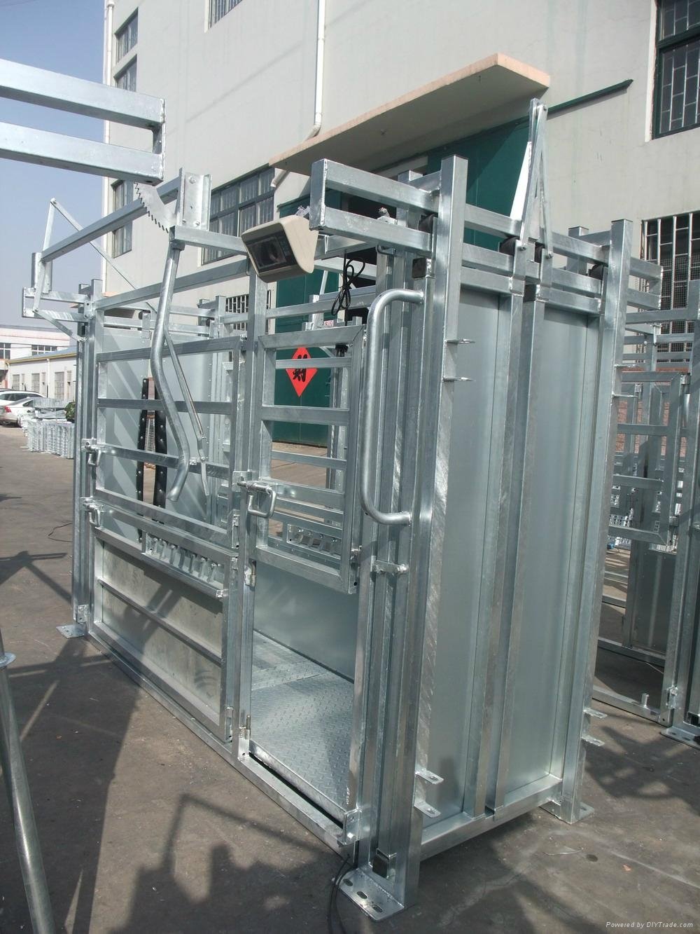 powder coated or galvanised heavy duty cattle squeeze chute