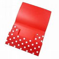 Polka Dot 3 Flap Folder 2