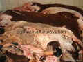 Animal Skin for sale 4