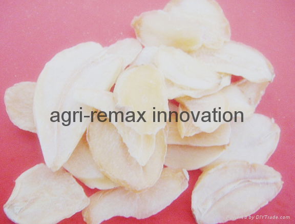 Dehydrated Garlic  and Onion Flakes 4