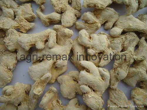 Dried ginger for sale 2