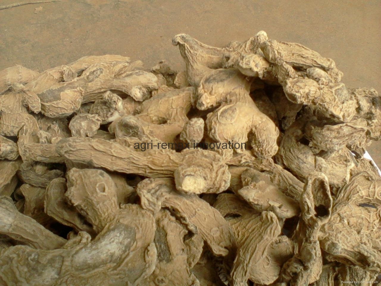 Dried ginger for sale 5