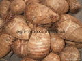 Fresh Taro for sale 4