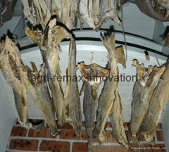 Quality Cod StockFish / dried StockFish For Sale