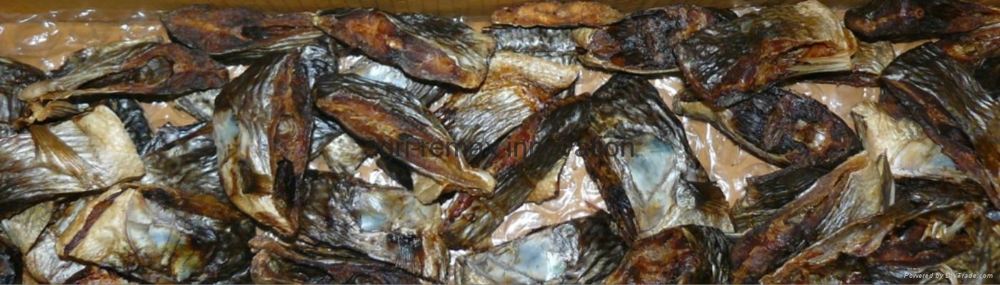 Quality Cod StockFish / dried StockFish For Sale 4