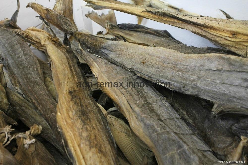 Quality Cod StockFish / dried StockFish For Sale 3