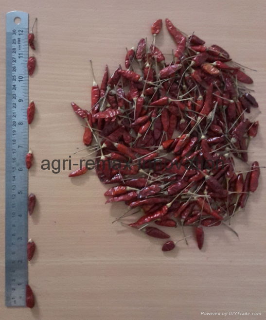 Fresh & Dried Birds Eye Chili for sale 4