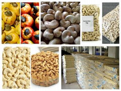 Quality CASHEW NUTS  PEANUTS  PISTACHIO NUTS  ALMOND NUTS 