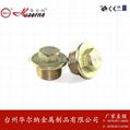 Hexagon Zinc-plated steel oil drain plug