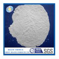 Dicalcium Phosphate (DCP) 1