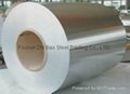 304 STAINLESS STEEL COIL