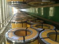  316L STAINLESS STEEL COIL 4
