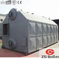 Chile 30 Ton Chain Grate Coal Fired Boiler for Sale 4