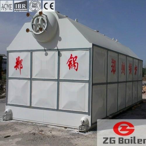 Chile 30 Ton Chain Grate Coal Fired Boiler for Sale 3