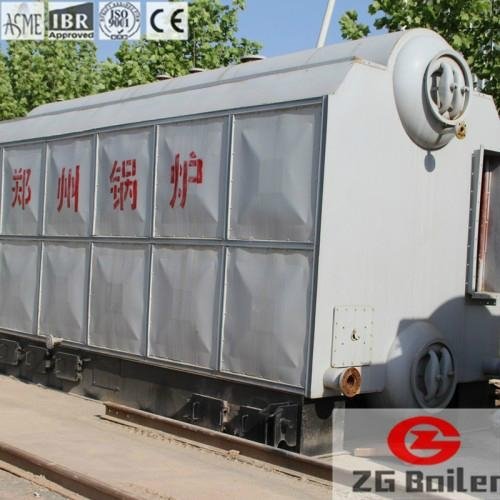 Chile 30 Ton Chain Grate Coal Fired Boiler for Sale 2
