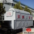 Chain Grate Coal Fired Boiler for Sale 5