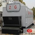 Chain Grate Coal Fired Boiler for Sale 2