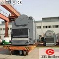 Chain Grate Coal Fired Boiler for Sale 4