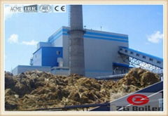 Biogas Fired Boiler for heating in India